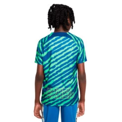 Camiseta Nike Brasil Pre-Match Mundial Qatar 2022 Niño -Puma Ventas camiseta nike brasil pre match mundial qatar 2022 nino coastal blue coastal blue 1