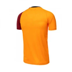 Camiseta Nike Galatasaray SK Primera Equipación Stadium 2022-2023 Niño -Puma Ventas camiseta nike galatasaray sk primera equipacion 2022 2023 nino vivid orange vivid orange pepper red 1