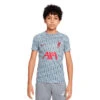 Camiseta Nike Liverpool FC Pre-Match 2022-2023 Niño -Puma Ventas camiseta nike liverpool fc pre match 2022 2023 nino wolf grey tough red 0
