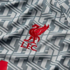 Camiseta Nike Liverpool FC Pre-Match 2022-2023 Niño -Puma Ventas camiseta nike liverpool fc pre match 2022 2023 nino wolf grey tough red 5
