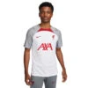 Camiseta Nike Liverpool FC Training 2022-2023 -Puma Ventas camiseta nike liverpool fc training 2022 2023 white smoke grey 0