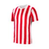 Camiseta Nike Striped Division IV M/c -Puma Ventas camiseta nike striped division iv mc white university red black 0