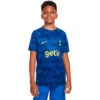Camiseta Nike Tottenham Hotspur FC Pre-Match 2022-2023 Niño