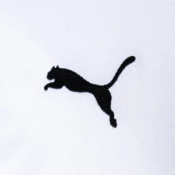 Camiseta Puma Borussia Mönchengladbach Primera Equipación Replica 2022-2023 -Puma Ventas camiseta puma borussia monchengladbach primera equipacion 2022 2023 white black power green 3