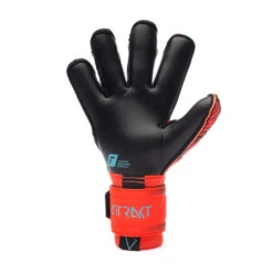 Guante Reusch Attrakt Gold X Evolution Cut -Puma Ventas guante reusch attrakt gold x evolution cut rojo 3