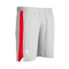 Pantalón Corto Castore Sevilla FC Training 2022-2023 -Puma Ventas pantalon corto castore sevilla fc training 2022 2023 quarry 0