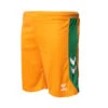 Pantalón Corto Hummel Real Betis Balompié Tercera Equipación 2022-2023 Niño 2 Pantalón Corto Hummel Real Betis Balompié Tercera Equipación 2022-2023 Niño -Puma Ventas pantalon corto hummel real betis balompie tercera equipacion 2022 2023 nino bright marigold 0