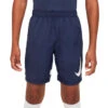 Pantalón Corto Nike Dri-Fit Academy GX Niño