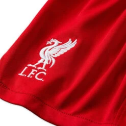 Pantalón Corto Nike Liverpool FC Primera Equipación 2023-2024 Niño -Puma Ventas pantalon corto nike liverpool fc primera equipacin 202324 nio gym red 2