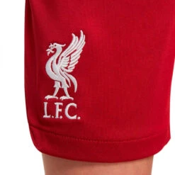 Pantalón Corto Nike Liverpool FC Primera Equipación Stadium 2022-2023 Niño -Puma Ventas pantalon corto nike liverpool fc primera equipacion stadium 2022 2023 nino tough red red 2