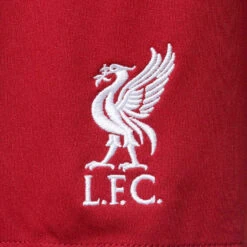 Pantalón Corto Nike Liverpool FC Primera Equipación Stadium 2022-2023 -Puma Ventas pantalon corto nike liverpool fc primera equipacion stadium 2022 2023 tough red red 2