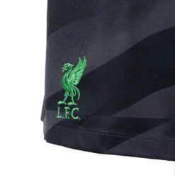 Pantalón Corto Nike Liverpool FC Primera Equipación Portero 2023-2024 -Puma Ventas pantalon corto nike liverpool fc primera equipacion stadium portero 2023 2024 anthracite 2