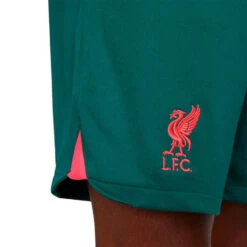 Pantalón Corto Nike Liverpool FC Tercera Equipación Stadium 2022-2023 10 Pantalón Corto Nike Liverpool FC Tercera Equipación Stadium 2022-2023 -Puma Ventas pantalon corto nike liverpool fc tercera equipacion stadium 2022 2023 dark atomic teal 3