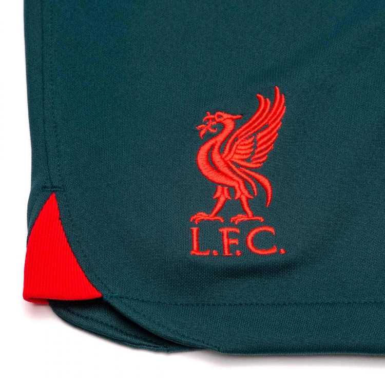 Pantalón Corto Nike Liverpool FC Tercera Equipación Stadium 2022-2023 Niño 5 Pantalón Corto Nike Liverpool FC Tercera Equipación Stadium 2022-2023 Niño - Imagen 3