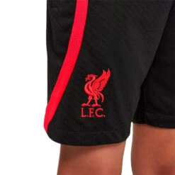 Pantalón Corto Nike Liverpool FC Training 2022-2023 Niño -Puma Ventas pantalon corto nike liverpool fc training 2022 2023 nino black siren red 3