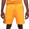 Pantalón Corto Nike PSG X Jordan Fanswear