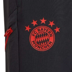 Pantalón Largo Adidas FC Bayern De Múnich Training 2022-2023 Niño -Puma Ventas pantalon largo adidas fc bayern de munich training 2022 2023 nino night grey 4